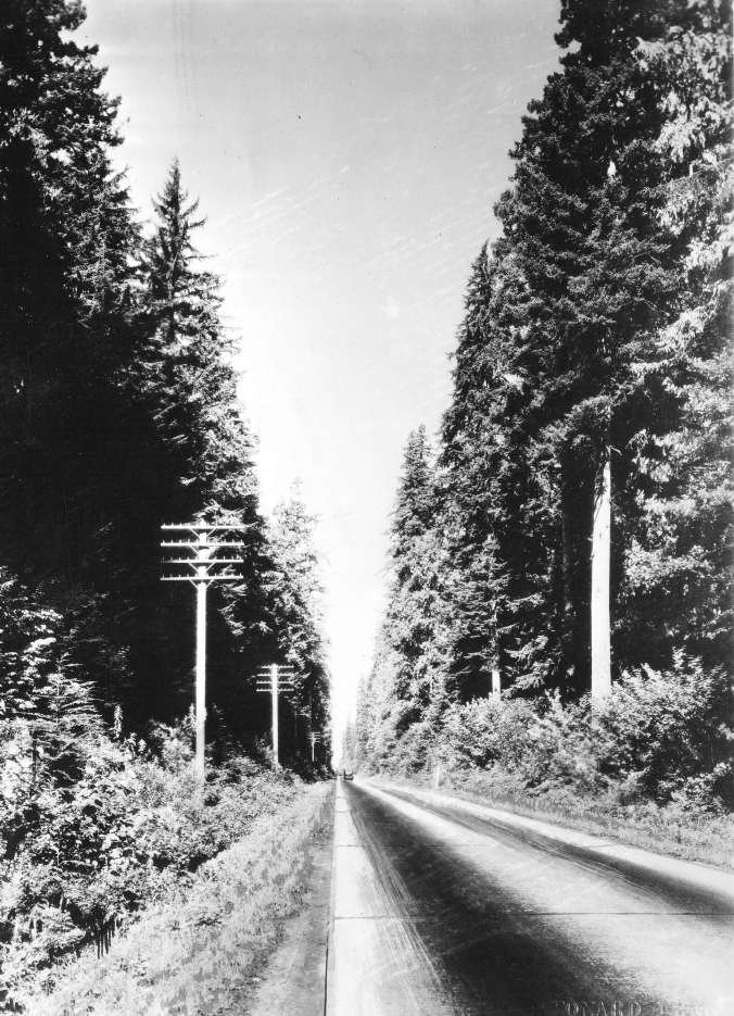 ebbf7bbb-ef9f-4f49-81a7-058ccb447b76-A33452